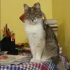 Отзыв от Ираида Киреева